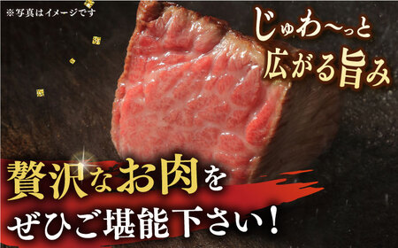 【12回定期便】長崎和牛A5 サーロインステーキ 200g×2  [DBJ008] 牛肉 焼肉 ステーキ 