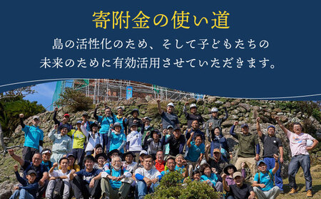 【年内配送】長崎角煮まんじゅう 6個 [DBG006] 角煮まん 岩崎本舗