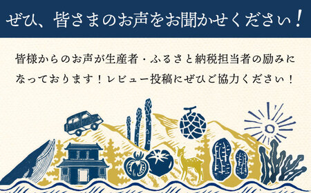 【年内配送】長崎角煮まんじゅう 6個 [DBG006] 角煮まん 岩崎本舗