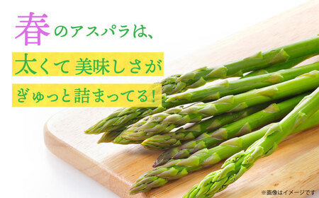 アスパラガス 春芽 約1kg  [DAT004] アスパラガス
