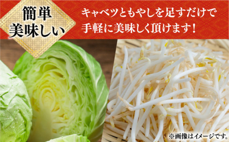 【12/22入金まで年内発送】【本場長崎で作った】皿うどん 6袋（2人前/1袋）具材付き ≪小値賀町≫【株式会社エン・ダイニング】簡単 調理 常温 [DBN002]