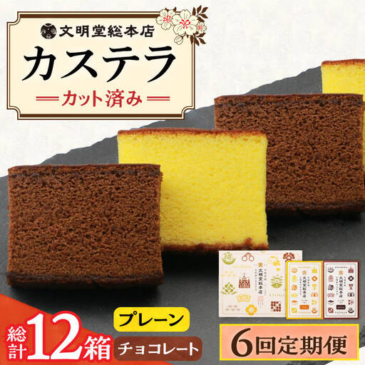【6回定期便】カステラ 2種 プレーン・チョコレート 個包装 文明堂 [DBF017] カステラ