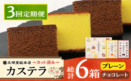 【3回定期便】【個包装】カステラ2種 プレーン・チョコレート 文明堂 [DBF016] カステラ 4,150円