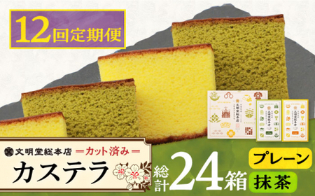 【12回定期便】【個包装】カステラ2種 プレーン・抹茶 文明堂 個包装  [DBF013] カステラ