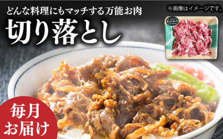 【12回定期便】 長崎和牛メイン切り落とし 約16kg [DBL028] 切り落とし 和牛切り落とし