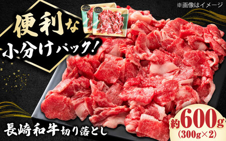 切り落とし 長崎和牛 (300g×2) 小分け [DBL005] 牛肉切り落とし 黒毛和牛 小値賀町