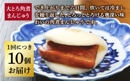 【6回定期便】 長崎 大とろ角煮まんじゅう10個 [DBG044]