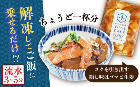 【年内配送】ヒラマサ漬け海鮮丼 [DAB056] 海鮮丼 15P 魚介 とけたらとれたて