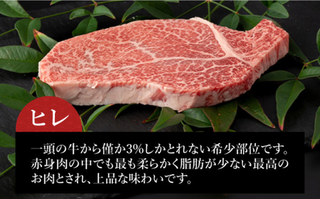 【12回定期便】長崎和牛お楽しみコース 牛肉定期便 [DBK033] 牛肉定期便