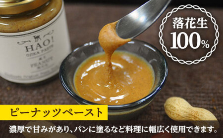 落花生と生姜の加工品 3点セット カレー ピーナッツペースト ジンジャーシロップ [DAA005] 落花生 ピーナッツ