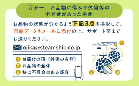 【年内発送】【12月上旬発送分】アールスメロン 約4kg（2玉）ﾒﾛﾝ ﾏｽｸﾒﾛﾝ ﾌﾙｰﾂ 果物 小値賀【ながさき西海農協小値賀地区園芸部会】[DAT002]