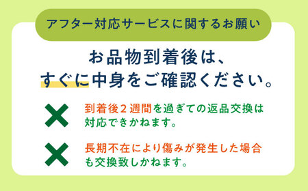 【先行予約メロン】【2024年8月初旬発送分】【糖度14以上】メロン アールスメロン 約4kg（2玉）《小値賀町》マスクメロン【ながさき西海農協小値賀地区園芸部会】[DAT002]  メロン マスクメロン おぢかメロン 島メロン しまメロン メロン 夏メロン 新着メロン 人気メロン 贅沢メロン メロン めろん 国産メロン 島めろん メロン メロン めろん メロン めろん メロン めろん メロン めろん メロン