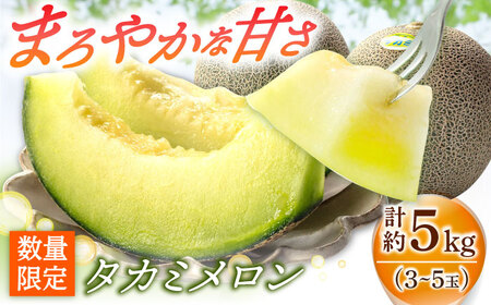 【先行予約】タカミメロン 約5kg（3〜5玉） [DAT001] メロン 高級メロン 果物 フルーツ ギフト 2026年6月中旬-7月初旬順次発送