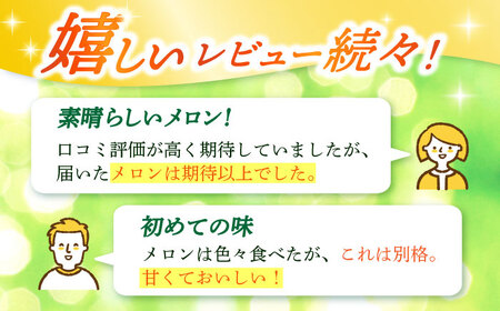 【先行予約】タカミメロン 約5kg（3〜5玉） [DAT001] メロン 高級メロン 果物 フルーツ ギフト 2026年6月中旬-7月初旬順次発送