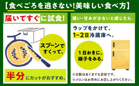 【先行予約】タカミメロン 約5kg（3〜5玉） [DAT001] メロン 高級メロン 果物 フルーツ ギフト 2026年6月中旬-7月初旬順次発送