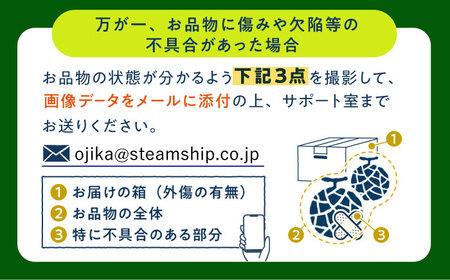 【先行予約】タカミメロン 約5kg（3〜5玉） [DAT001] メロン 高級メロン 果物 フルーツ ギフト 2026年6月中旬-7月初旬順次発送
