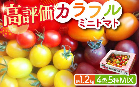 【4色5種MIX】カラフルミニトマト 約1.2kg [DAE001] ミニトマト りんたろうふぁ〜む　野菜 ミニトマト