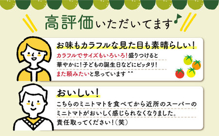 おまかせMIX カラフルミニトマト 約1.2kg [DAE002] ミニトマト りんたろうふぁ～む