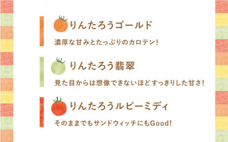 おまかせMIX カラフルミニトマト 約1.2kg [DAE002] ミニトマト りんたろうふぁ～む