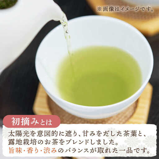 【全12回定期便】「こだわりブレンド茶」さざの 有機栽培茶 初摘み (100g×3本/回)【宝緑園】[QAH015]