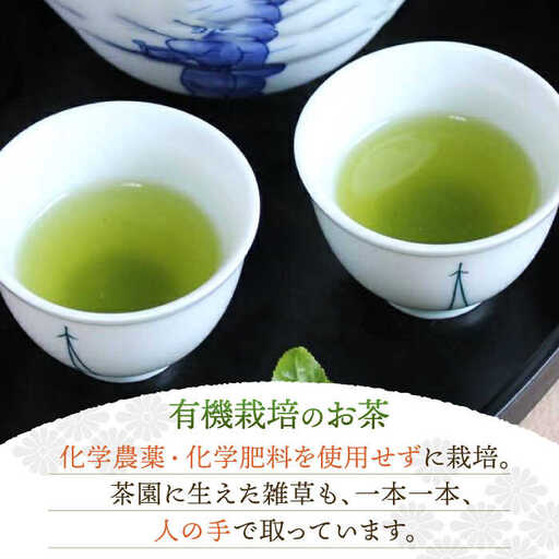 【全12回定期便】「こだわりブレンド茶」さざの 有機栽培茶 初摘み (100g×3本/回)【宝緑園】[QAH015]