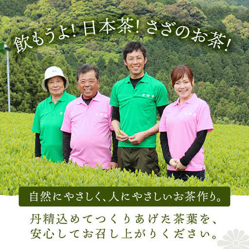 【全12回定期便】「こだわりブレンド茶」さざの 有機栽培茶 初摘み (100g×3本/回)【宝緑園】[QAH015]
