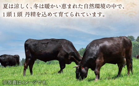 【大自然の贈り物！】長崎和牛カルビ 約500g【ながさき西海農業協同組合】[QAK001]