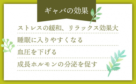 【心からのリラックスを】釜炒り ギャバロン 茶 ティーバッグ 30個入×2袋【上ノ原製茶園】[QAO012]