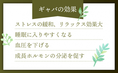 【手軽に本格的な味わいを】釜炒り茶 こだわり ティーバッグ セット 各種30個入×1袋【上ノ原製茶園】[QAO028]