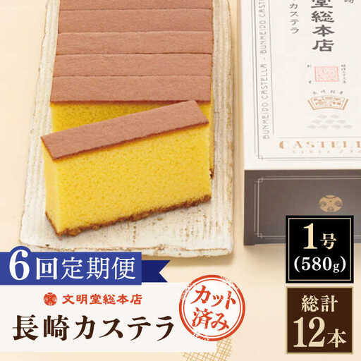 【全6回定期便】「こだわりの逸品」長崎カステラ［2号] 計12本（1号10切入×2本入/回）【文明堂総本店】[QAU024]