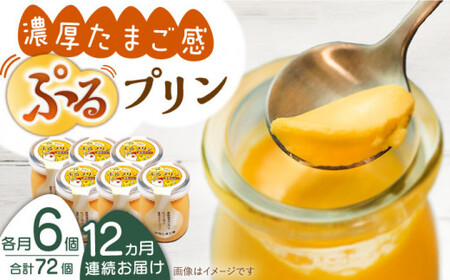 【全12回定期便】【卵が濃い！】たまごやさんのぷるプリン (濃厚仕立て) 6個入/回【ぷるたま工房】[QBB004]