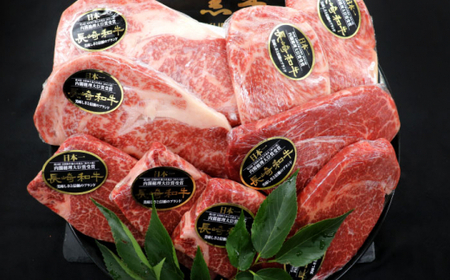 【全6回定期便】「希少部位 食べ比べ 」長崎和牛 贅沢3種の ステーキ Bセット 計6.6kg (約1.1kg/回)【黒牛】[QBD063]