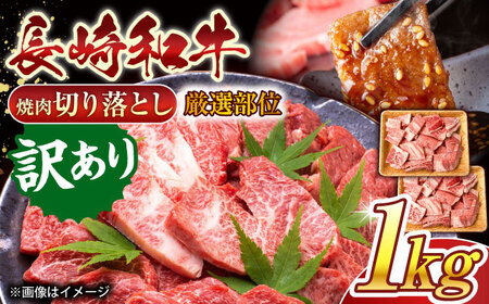 【訳あり】【A4~A5】長崎和牛焼肉切り落とし(肩ロース・バラ）　1kg（500g×2p）【株式会社 MEAT PLUS】[QBS004]