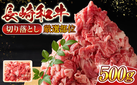 【A4~A5】長崎和牛 牛肉 切り落とし 500g 【株式会社 MEAT PLUS】[QBS005] 