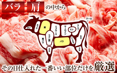 【A4~A5】長崎和牛切り落とし　1.2kg(600g×2p）【株式会社 MEAT PLUS】[QBS007]