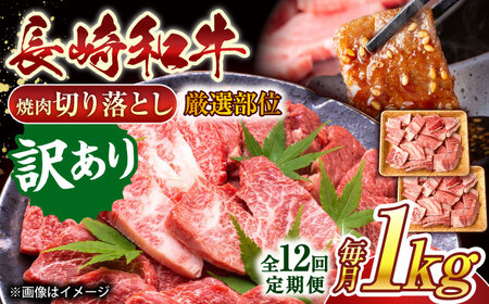 【全12回定期便】【訳あり】【A4~A5】長崎和牛焼肉切り落とし(肩ロース・バラ）　1kg（500g×2p）【株式会社 MEAT PLUS】[QBS044]