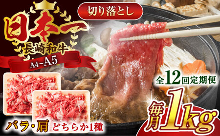 【全12回定期便】【A4~A5】長崎和牛切り落とし　1kg(500g×2p）【株式会社 MEAT PLUS】[QBS050]