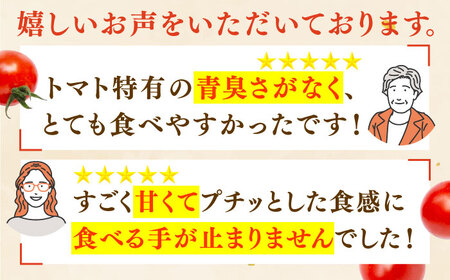 ミニトマト 小鈴キング 1kg[QBG003]