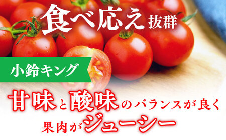 ミニトマト 小鈴キング 1kg[QBG003]