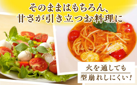 ミニトマト 小鈴キング 1kg[QBG003]