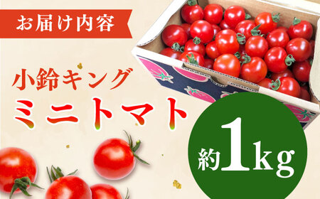 ミニトマト 小鈴キング 1kg[QBG003]