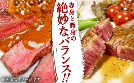 長崎和牛ヒレステーキ　150g×2枚　【肉のあいかわ】[QAA028] ステーキ 牛肉 ヒレステーキ 牛肉 希少ステーキ ステーキ肉 長崎和牛 長崎 ステーキ ステーキ牛肉ステーキ牛肉ステーキ牛肉ステーキ牛肉ステーキ牛肉ステーキ牛肉ステーキ牛肉ステーキ牛肉ステーキ牛肉ステーキ牛肉ステーキ牛肉ステーキ牛肉ステーキ牛肉ステーキ牛肉ステーキ牛肉ステーキ牛肉ステーキ牛肉ステーキ牛肉ステーキ牛肉ステーキ牛肉ステーキ牛肉ステーキ牛肉ステーキ牛肉ステー キ牛肉ステーキ牛肉