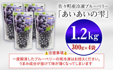 【人気上昇中！】冷凍ブルーベリー「あいあいの雫」300g×4袋 [QAT017] ブルーベリー 冷凍 ブルーベリー ブルーベリー ブルーベリー