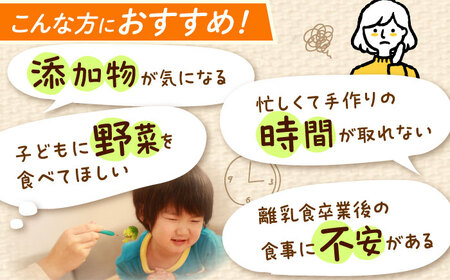 【全6回定期便】冷凍幼児食あむむ10食セット[QBX007]