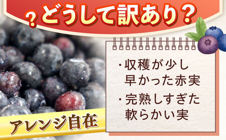 【訳あり】冷凍 ブルーベリー1kg 国産 冷凍 果物 フルーツ ジャム 加工 訳あり 小分け ブルーベリー QAT019
