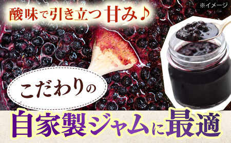 【訳あり】冷凍 ブルーベリー1kg 国産 冷凍 果物 フルーツ ジャム 加工 訳あり 小分け ブルーベリー QAT019