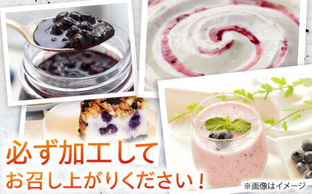 【訳あり】冷凍 ブルーベリー1kg 国産 冷凍 果物 フルーツ ジャム 加工 訳あり 小分け ブルーベリー QAT019