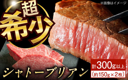シャトーブリアン 150g×2 牛肉 国産 シャトーブリアン 長崎和牛 牛肉 QBN058