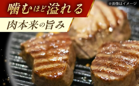 シャトーブリアン 150g×2 牛肉 国産 シャトーブリアン 長崎和牛 牛肉 QBN058