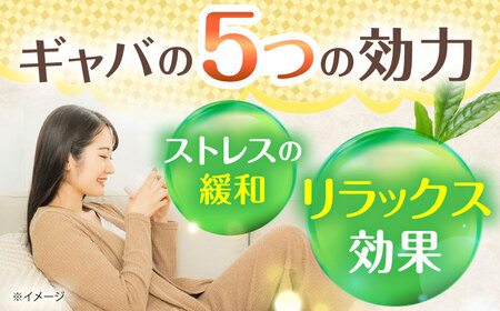 GABA珈琲ティーバッグ10個入×3パック[QAO039]